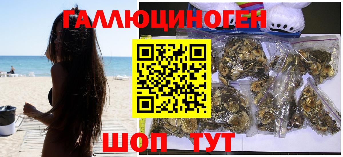 Псилоцибиновые грибы GOLDEN TEACHER  Вход с VPN  Чайковский 