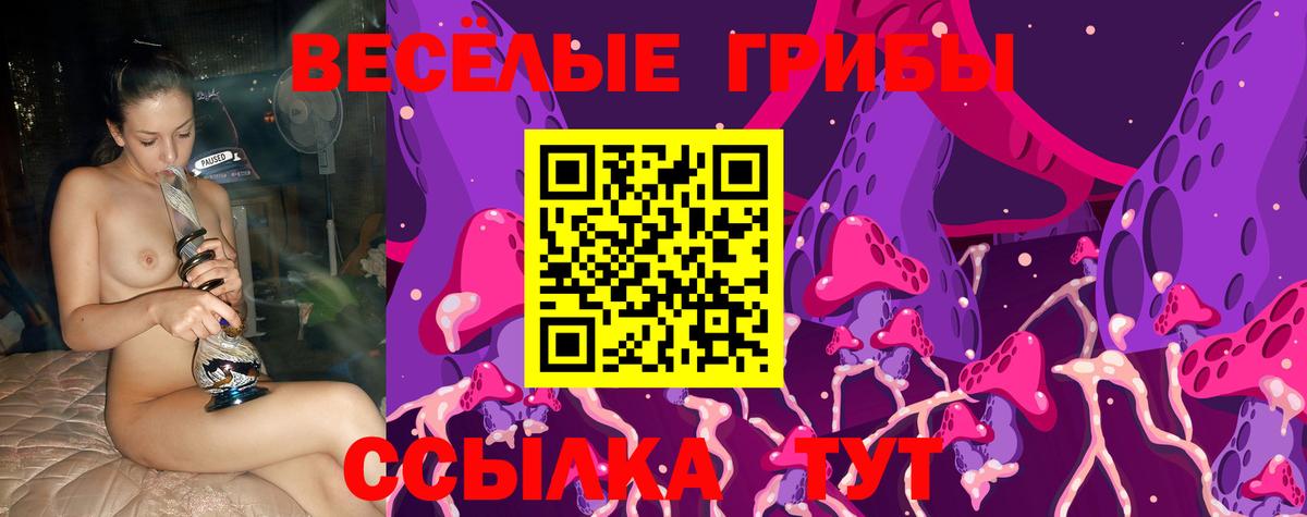 Псилоцибиновые грибы мицелий Чайковский